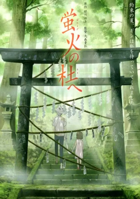 《萤火之森》：一曲夏日限定的温柔忧伤，致那些触不可及的爱恋与守护
