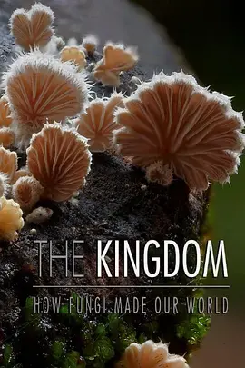 《真菌王国》：一部关于喜剧的硬核科普？这脑洞，我给跪了！
